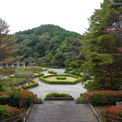 🌳 다이노하라 삼림공원(다이노하라신린코엔)